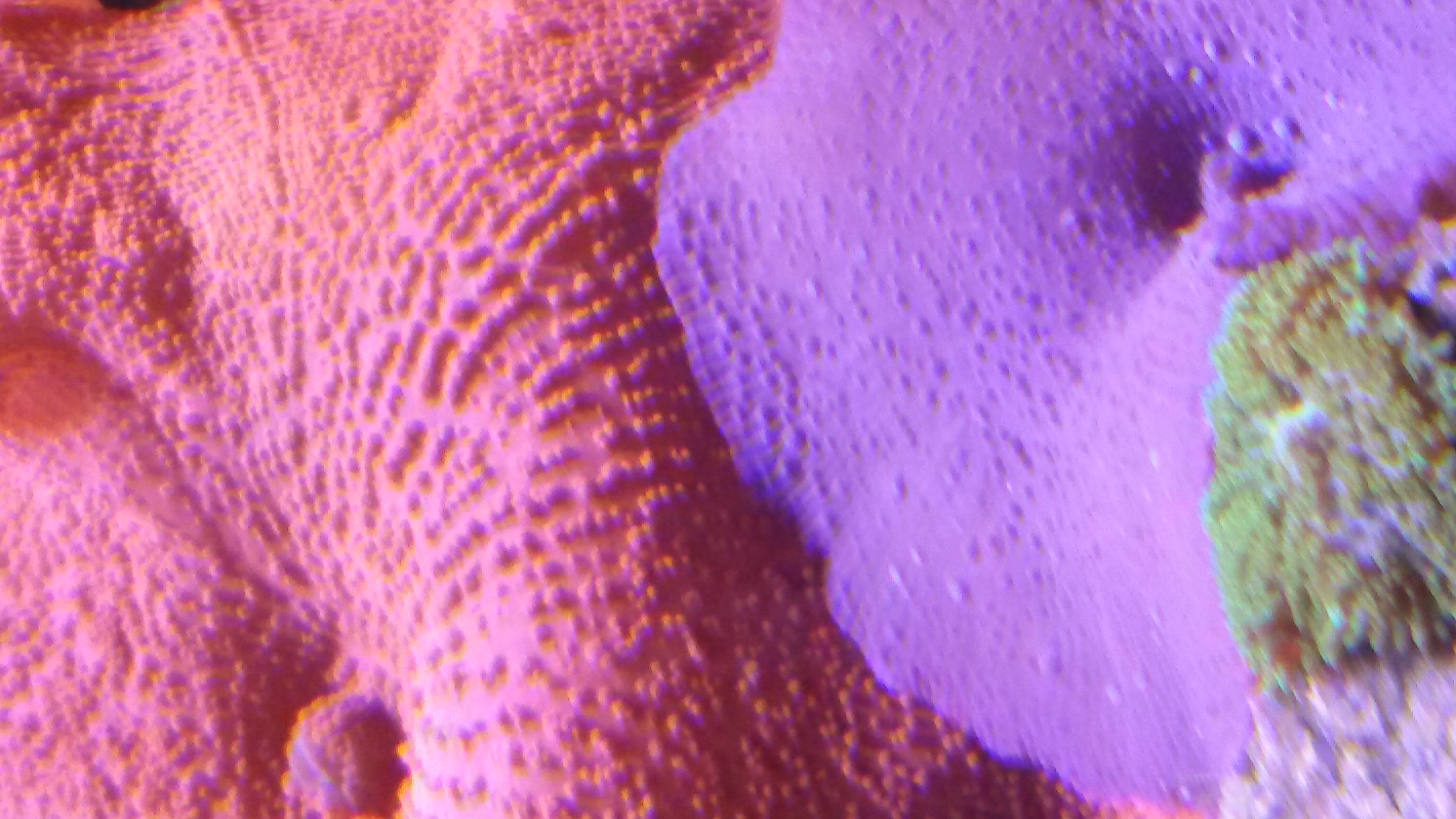 20180416_170336.jpg